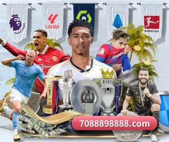 AYX Sports APP